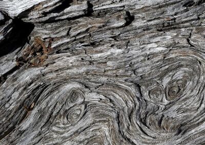 texture legno